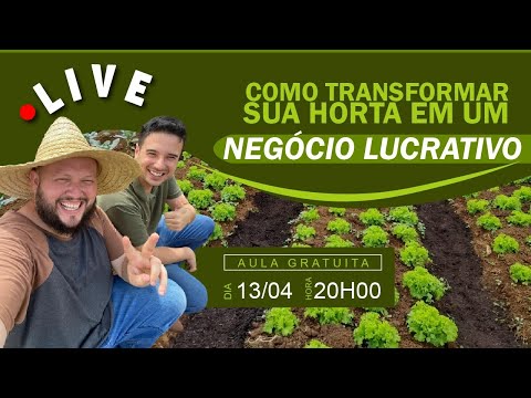 Vídeo: Cultivo e criação de vermes como negócio. É possível criar vermes em casa?