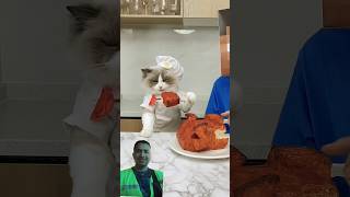 funny video 🤣🤣#shorts #cat #funny #cute #cooking #funnycats #hack #lavachicken #steve #minecraft