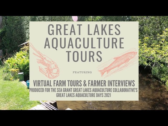 Branch River Trout Hatchery: Great Lakes Aquaculture Tours 2021