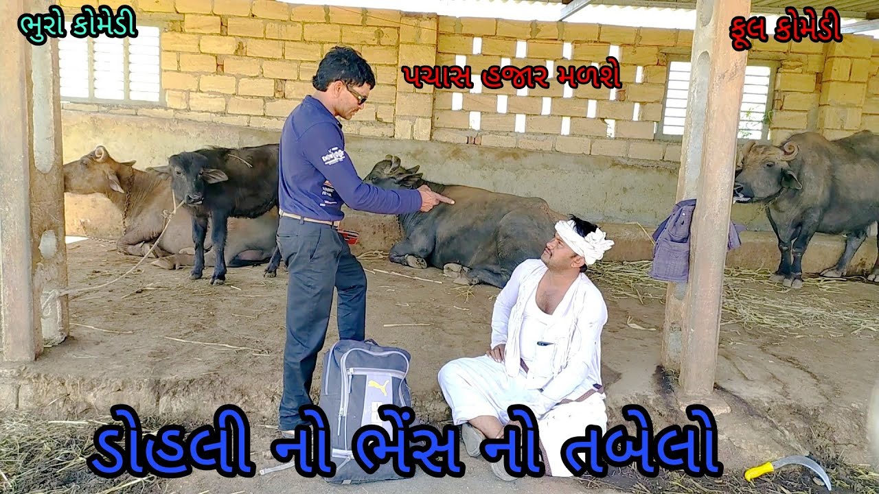 ડોહલી નો ભેંસ નો તબેલો |bhurocomedy|gujaraticomedy|bccomedy
