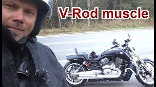 V-Rod muscle - опять мифы