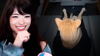 Emiru Reacts to UNUSUAL MEMES COMPILATION V232