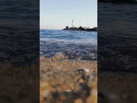 مش كل الي بنحبهم هيكونو لينا اليسا حالات واتس