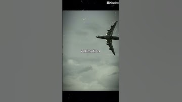 Animation vs real life (flight 102)