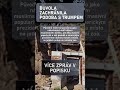 Buvol vypadá jako Trump a přežil!