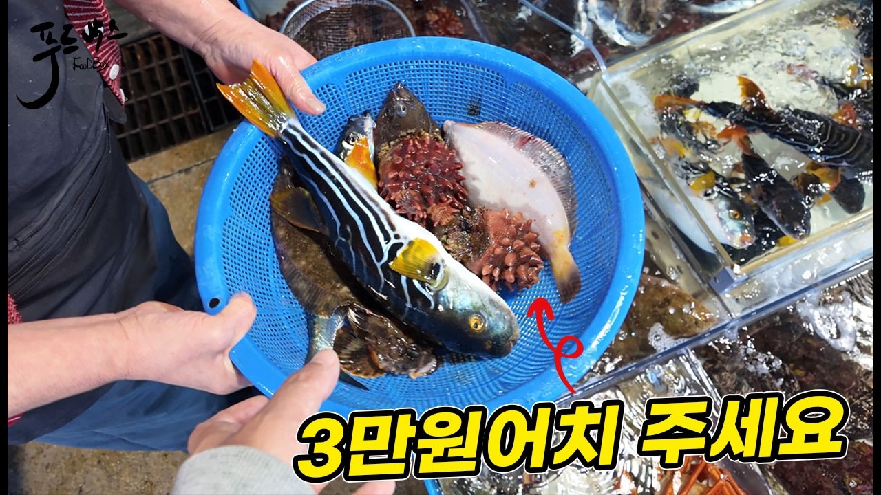 산지 어시장에서 3만원어치 담아 달라고 했더니...[속초 동명항활어센터]