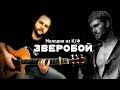 Зверобой - Фингерстайл с Гитарином / Лирическая тема