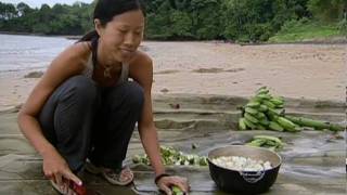 Shii Ann: "Stupid people, stupid people!" (Survivor 8 All-Stars)