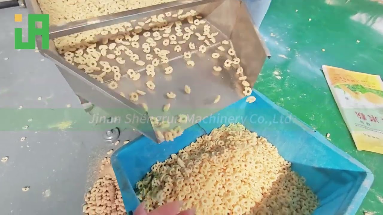 fried snack production line Food machinery