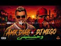Amr Diab Wahashtiny New Remix Amr Diab Wahashtiny DJ MEGO Remix mp3