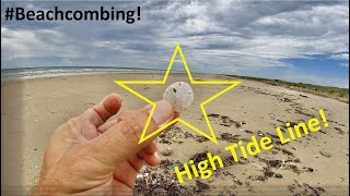 #Beachcombing - High Tide Line