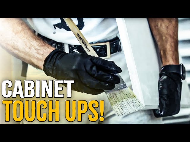 Cabinet TOUCHUPS! The Art of Touch-Ups 