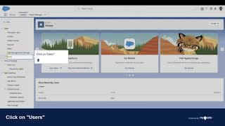 How to add new user in Salesforce Lightning