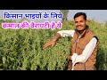 सरसों की उन्नत खेती कैसे करें? सरसों की उन्नत क़िस्म R.H.725 | How To Do Mustard Farming? 8224917065