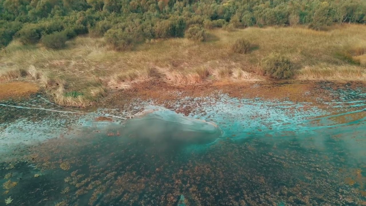 Beeliar & Jilbup (Thomsons Lake), Western Australia. 4K/30