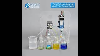 Valve Selector SV 06