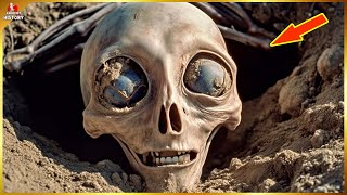 6 Shocking Archaeological Discoveries – So Mysterious No One Dared to Believe They Were Real! Profile
