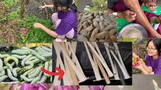 Kege Tin🐛Dagi Kamyna Muga Lng Ollkani Hybgi Process🤗🧵| Yaipan Sidi Khufajamaa😳