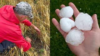 A Hail Storm Hit The Farm Again