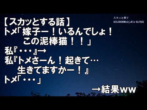 【スカッとする話】トメ「嫁子ー！いるんでしょ！この泥棒猫！！」私『・・・』→私『トメさーん！起きて…生きてますかー！』トメ「・・・」→凸し合った結果ｗｗｗ