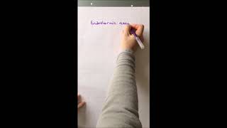 Biology GCSE   Transpiration and translocation
