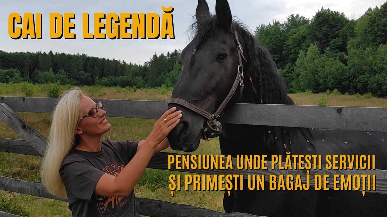 Cai de legendă, pensiunea unde plătești servicii și primești un bagaj de emoții