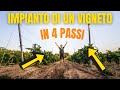 Impianto del vigneto dalla A alla Z | Riassunto in 4 Punti | Lavorazioni vigneto | Filips Country