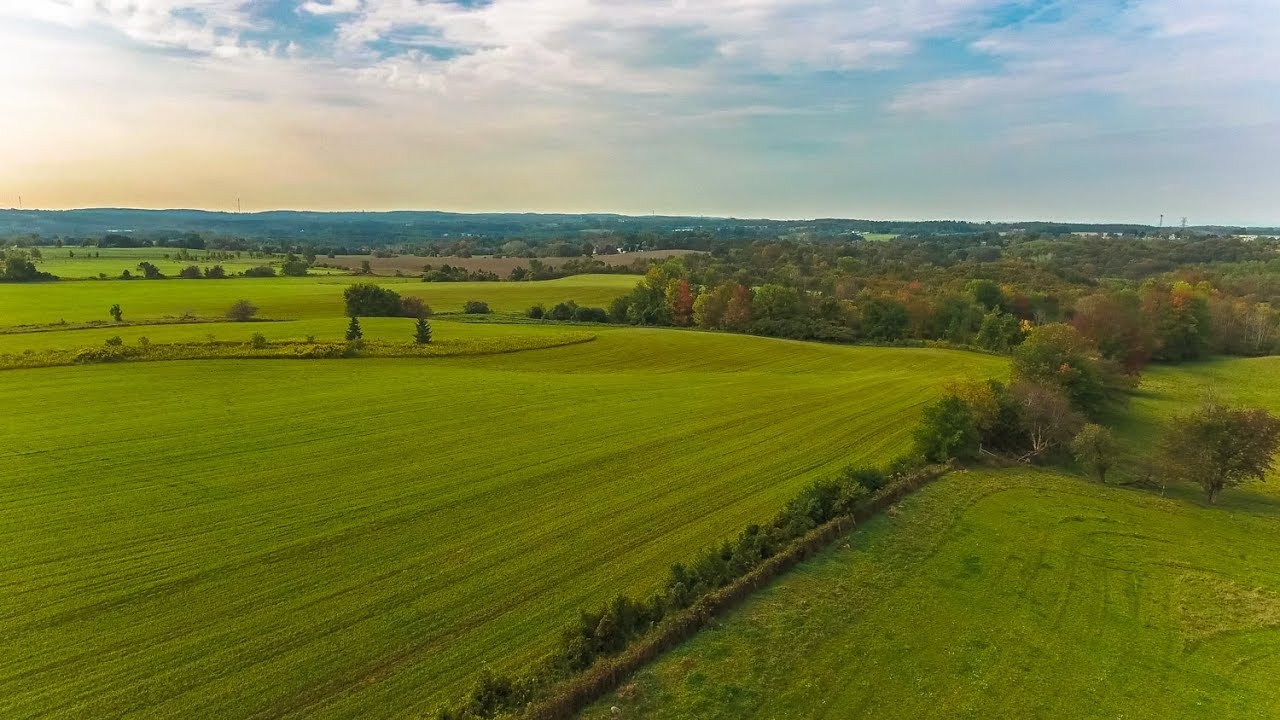 property brothers hack apk 16660 Keele Street, King Township