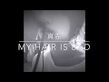 真赤 My Hair is Bad (cover)