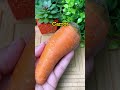 ✨ Erase Wrinkles &amp; Dark Spots with This Natural Pack #ytshorts