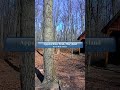 Ravan Rock Shelter#appalachiantrail#maryland#ravanrockshelter#hiking