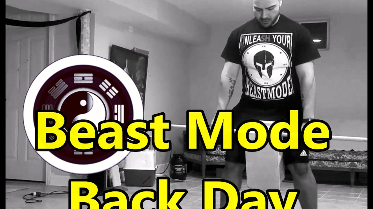 Body beast build back and biceps workout geeksbopqe