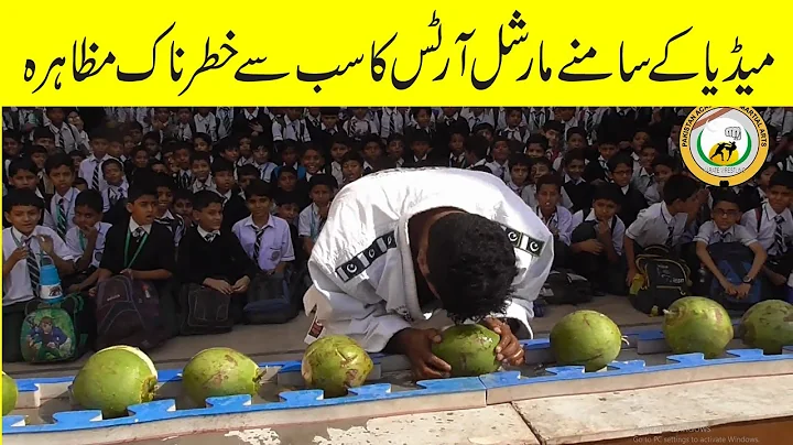 DEADLY DEMONSTRATION IN MARTIAL ARTS