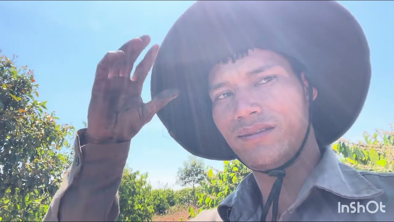 Tưới cà phê đợt 1chưa xong phải về nghỉ Tết rồi 