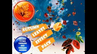 AUTUMN Leaves (Unity)