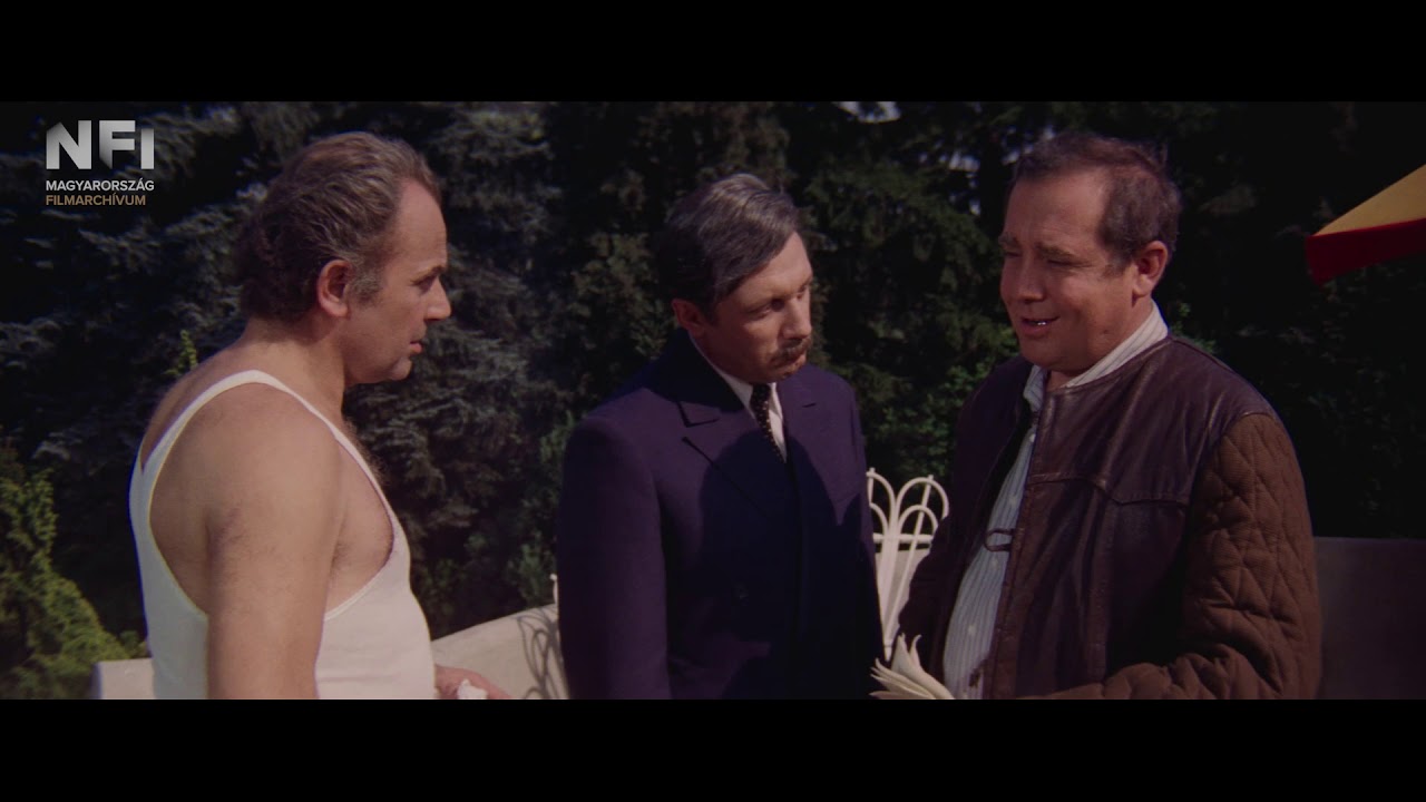 A tanú  (Bacsó Péter, 1969, részlet)