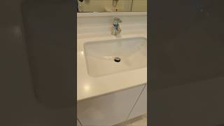 Wall-Mount Sink Installation #pipelining#toilet #diy