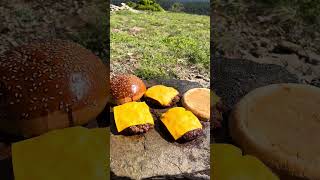 Giant Cheeseburger In Nature