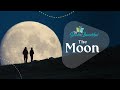 Exploring the Moon: A Cosmic Journey