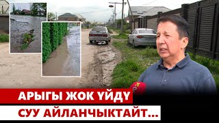 Бишкек: конуштарда такыр эле арык жок