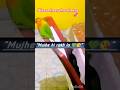“Aajkal Ache Log Nahi Milte😔💚 | Cute Lovebird Attitude Shorts | Viral Bird Video 2025“#Shorts#Viral