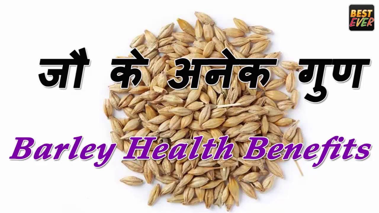 Health Benefits Of Barley Jau JAU KE FAYDE YouTube