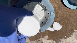 Still Using This Chlorine Holder 3 Years Later!
