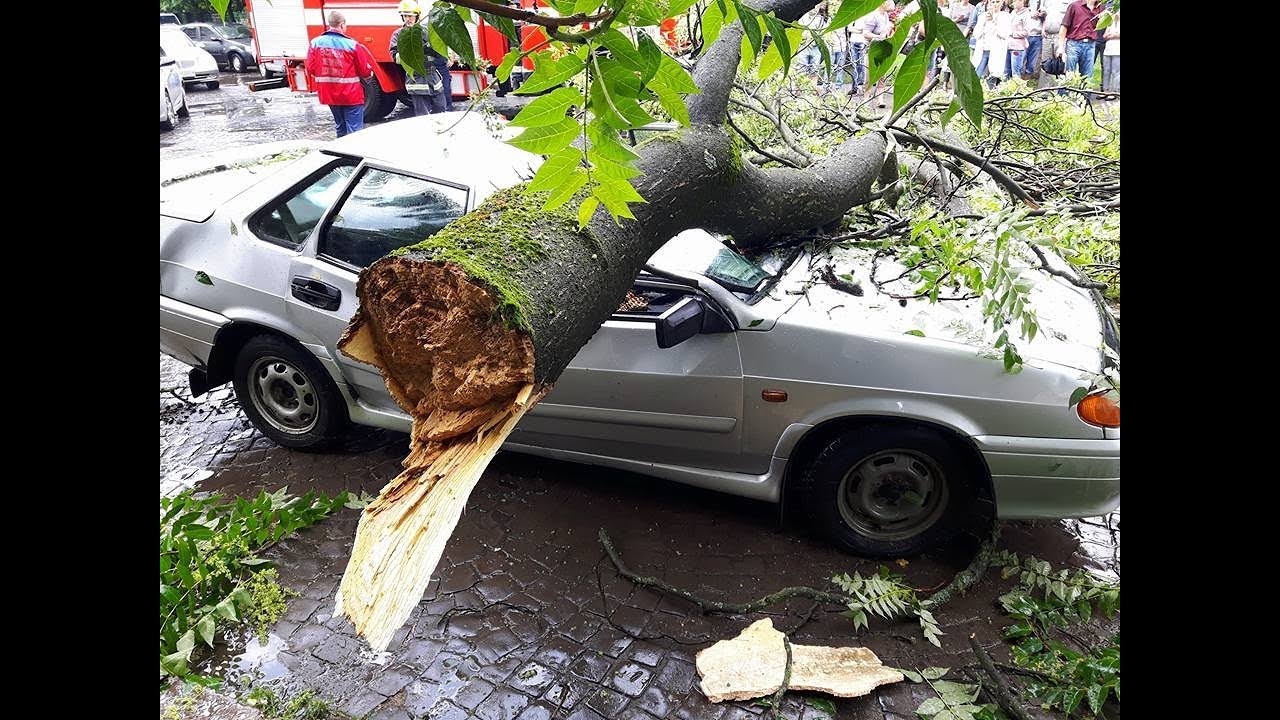 Авто страховые случаи