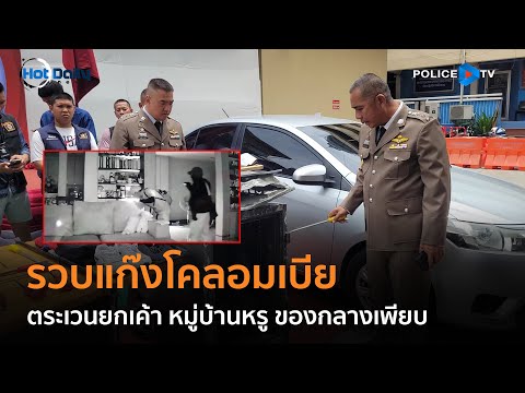 ตร.รวบแก๊งโคลอมเบีย ตระเวนยกเค้า หมู่บ้านหรู ของกลางเพียบ  |  Hot Daily News  8 ก.ย. 66