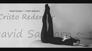 David Sanborn ~ Cristo Redentor screenshot 4