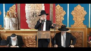 דברי תורה נפלאים לפרשת מטות מסעי הרב יגאל קריספל