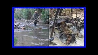 河道被堵塞，村民都不願意去清理，挖倒一半，岸邊的人都坐不住了，一筆財富到手！