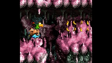 Donkey Kong Country 3: Dixie Kong