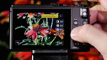 Panasonic LUMIX DMC-LX10 Custom Setting